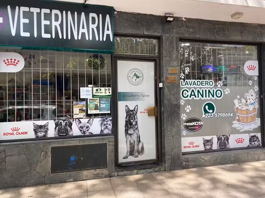 Veterinaria Animal House