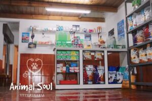 Veterinaria Animal Soul