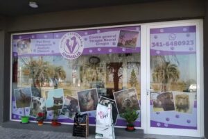 Veterinaria Animalia