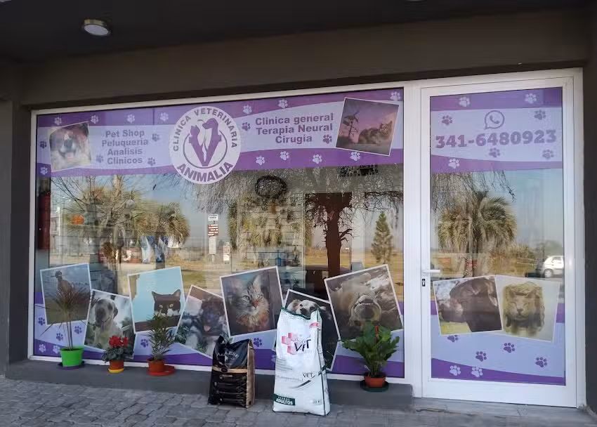 Veterinaria Animalia