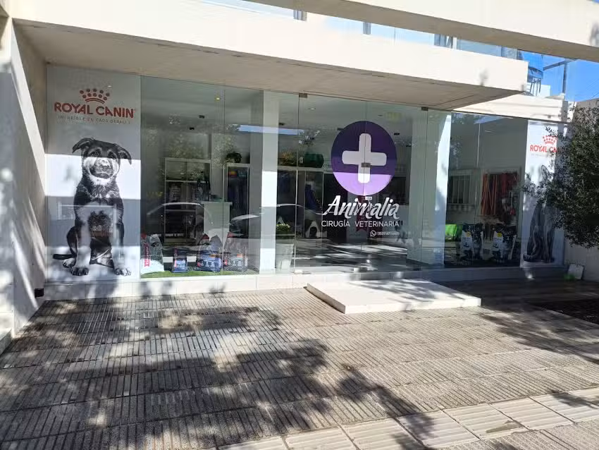 Veterinaria Animalia