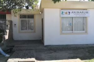 Veterinaria Animarum