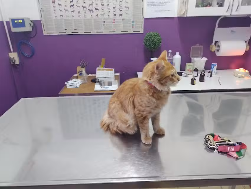 Veterinaria Argentina