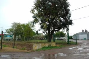 Veterinaria Argentina