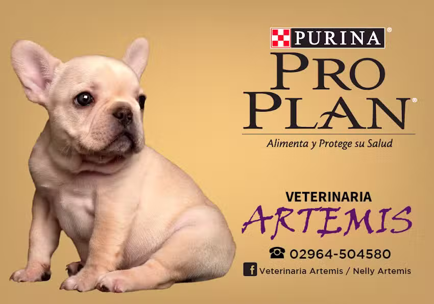 Veterinaria Artemis