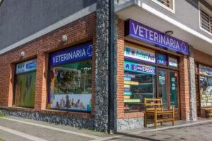 Veterinaria Asistvet