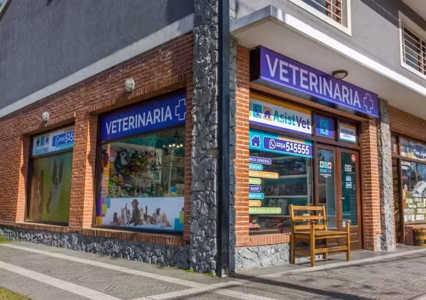Veterinaria Asistvet