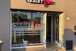 Veterinaria Assistvet