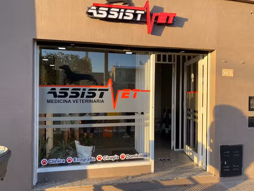 Veterinaria Assistvet
