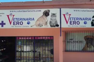 Veterinaria Atenas
