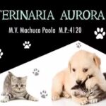 Veterinaria Aurora
