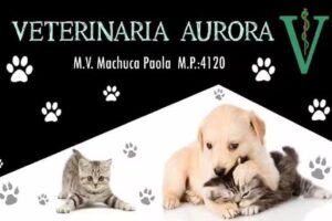 Veterinaria Aurora