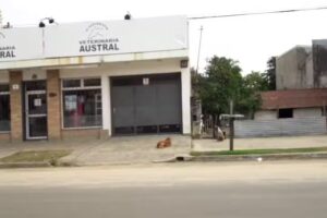 Veterinaria Austral &ndash; Equinos