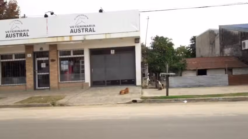 Veterinaria Austral &ndash; Equinos