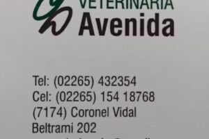 Veterinaria Avenida