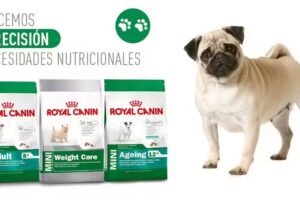 Veterinaria Avenida de Ignacio Hernandez