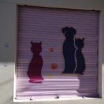 Veterinaria Ayacucho