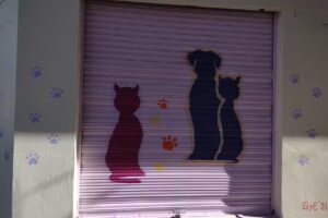 Veterinaria Ayacucho