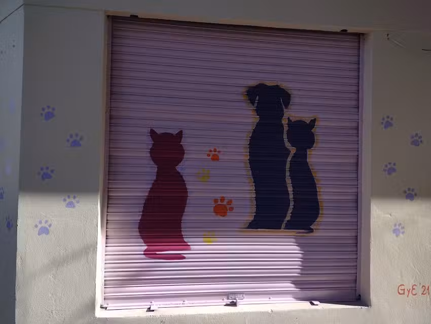 Veterinaria Ayacucho