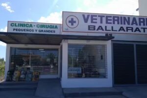 Veterinaria Ballarati