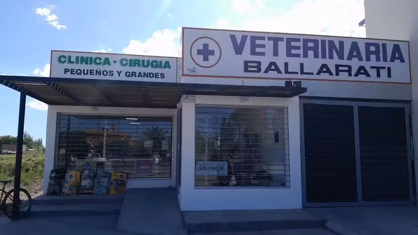 Veterinaria Ballarati