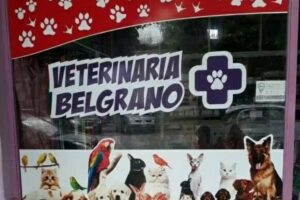Veterinaria Belgrano