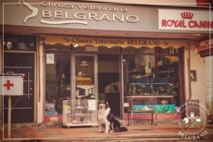 Veterinaria Belgrano