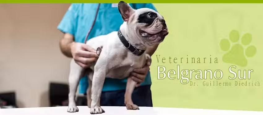 Veterinaria Belgrano Sur &ndash; Dr. Guillermo Diedrich