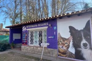 Veterinaria Besares