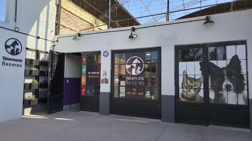 Veterinaria Besares Suc Boedo