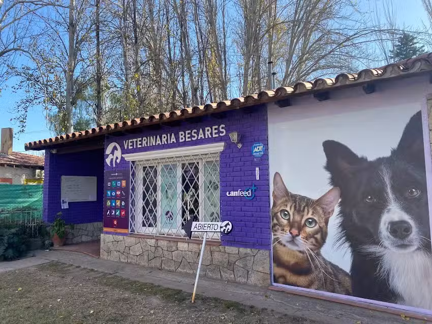 Veterinaria Besares
