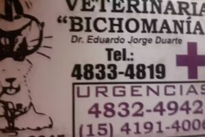 veterinaria bichomania