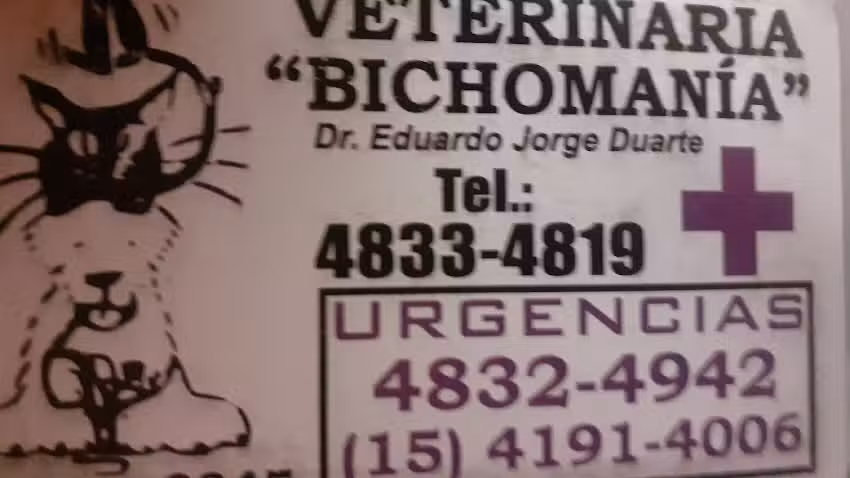 veterinaria bichomania