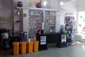 Veterinaria Bichos Leones