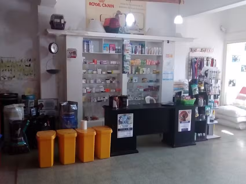 Veterinaria Bichos Leones