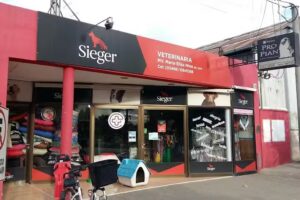 Veterinaria Bichos y Bichas