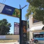 Veterinaria Bienestar Animal