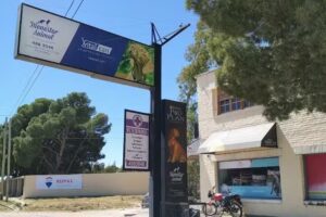 Veterinaria Bienestar Animal