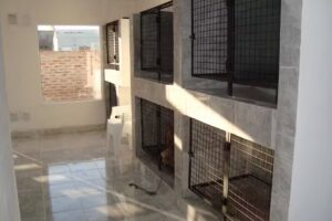 Veterinaria Bienestar Animal