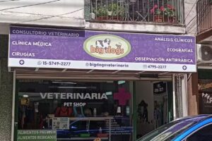 Veterinaria Big Dogs