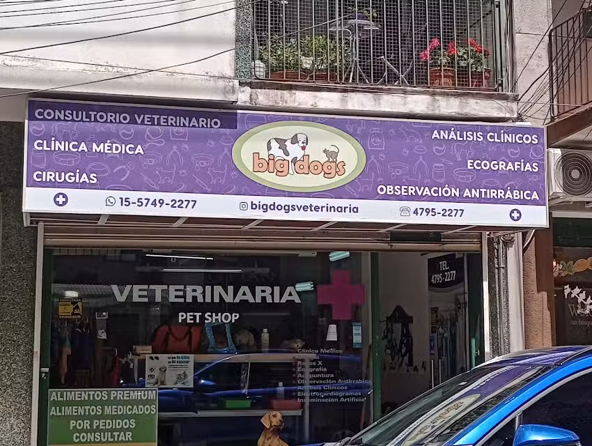 Veterinaria Big Dogs