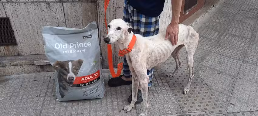 Veterinaria Blinka