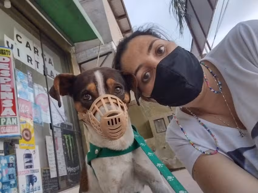 Veterinaria Bodereau Dra. Eugenia