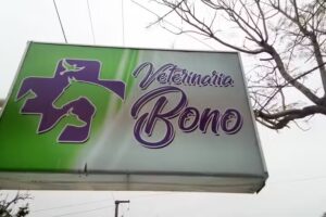 VETERINARIA BONO