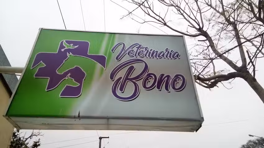 VETERINARIA BONO