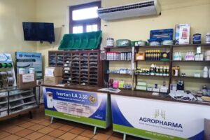 VETERINARIA BORDERES