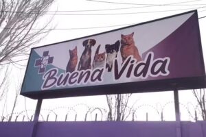 Veterinaria Buena Vida