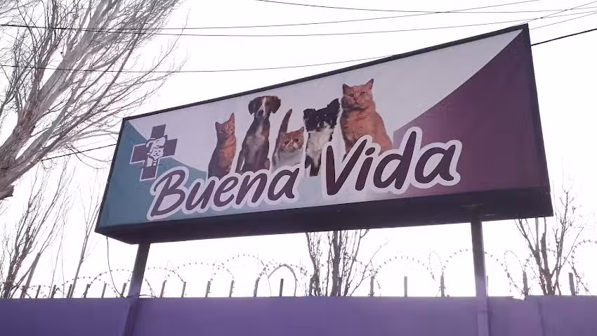 Veterinaria Buena Vida
