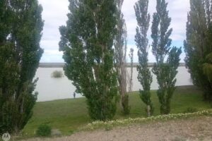 Veterinaria Buenas Costumbres!!!