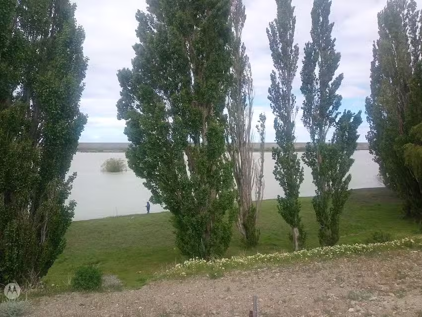 Veterinaria Buenas Costumbres!!!